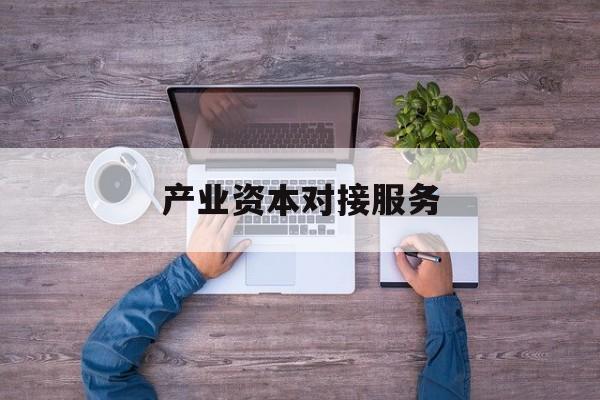 产业资本对接服务(产业资本对接服务包括哪些)平顶山市